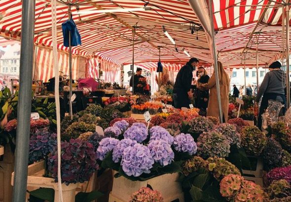 16 Toko Bunga Terbaik di Jogja untuk Kado Valentine dan Buket Murah, Harga Mulai Rp25 Ribuan