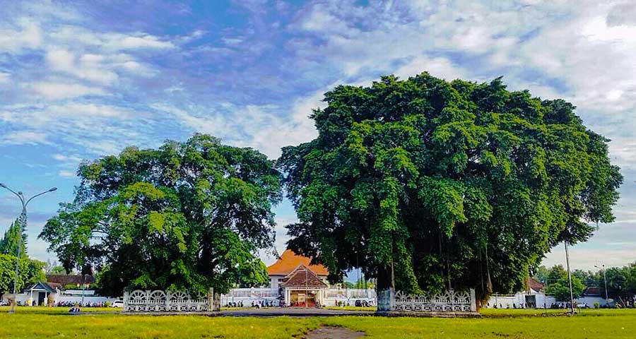 Alun-Alun Kidul Yogyakarta: Wisata Malam yang Penuh Pesona
